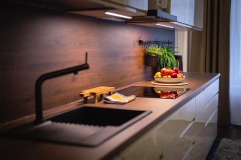 Kitchen or kitchenette, Food and drinks, stove, kitchen