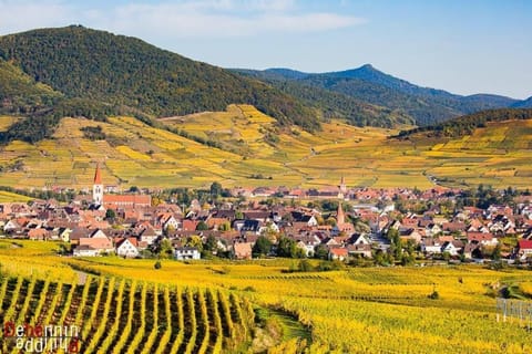 Nearby landmark, Natural landscape, City view, Mountain view
