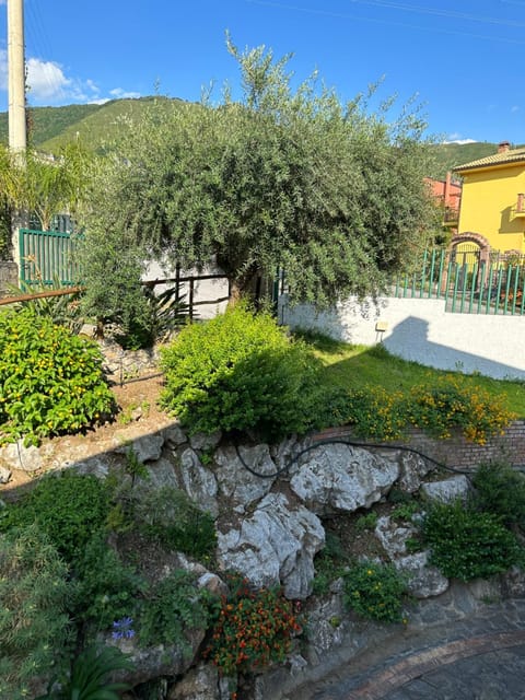 Ravè Bed and Breakfast in Praia A Mare