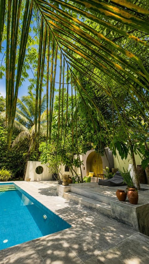 Garden, Pool view, Swimming pool, sunbed