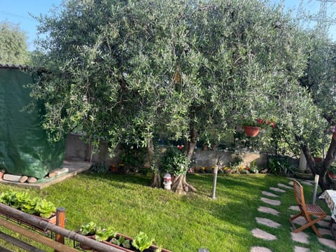 Spring, Day, Natural landscape, Garden, Garden, Garden view