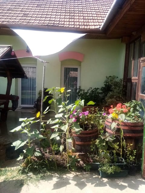 Property building, Garden view