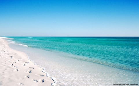 104 Surf Dweller by Alicia Hollis Realtor Rentals - Open March 23rd for 4 Nights House in Okaloosa Island