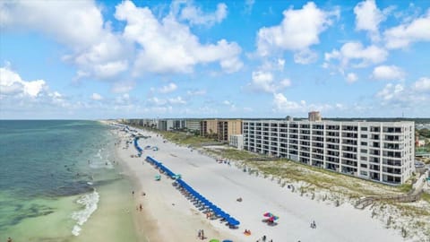 104 Surf Dweller by Alicia Hollis Realtor Rentals - Open March 23rd for 4 Nights House in Okaloosa Island