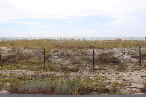 104 Surf Dweller by Alicia Hollis Realtor Rentals - Open March 23rd for 4 Nights House in Okaloosa Island