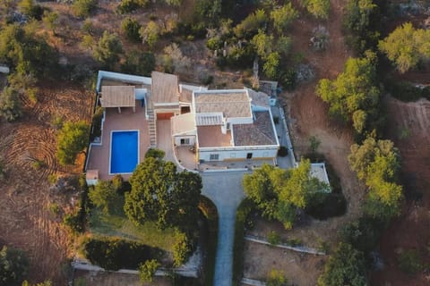 Property building, Bird's eye view