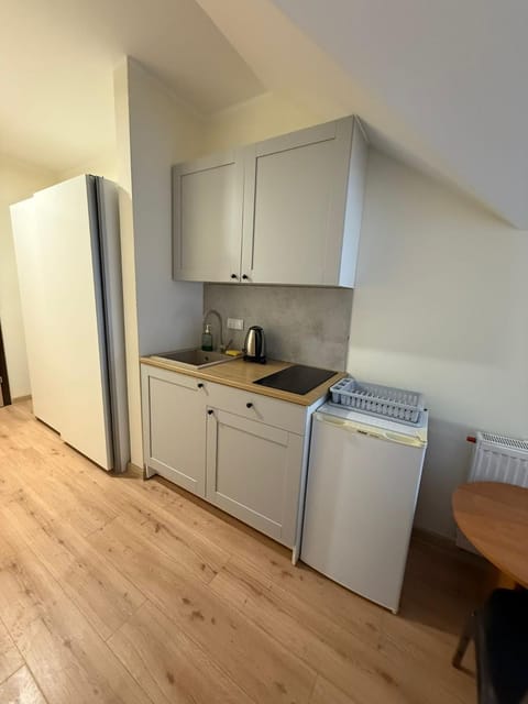 Kitchen or kitchenette, oven, pet friendly, stove