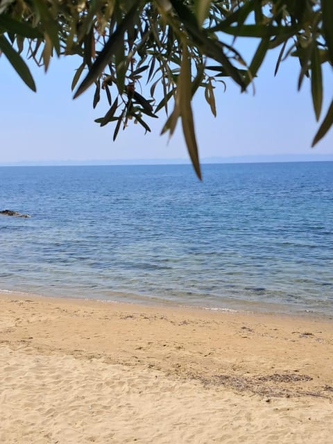 Elia House Villa in Halkidiki