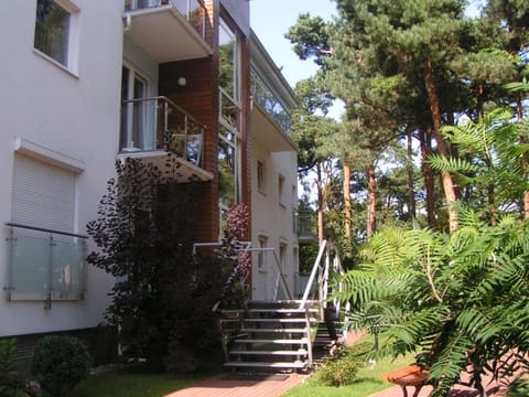 Property building, Garden, Garden view