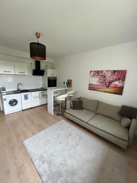 Kitchen or kitchenette, Living room, Seating area, Dining area, pet friendly, stove, washing machine