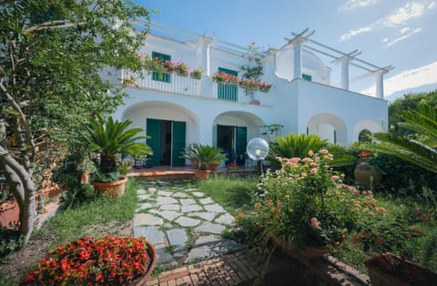 Property building, Garden view