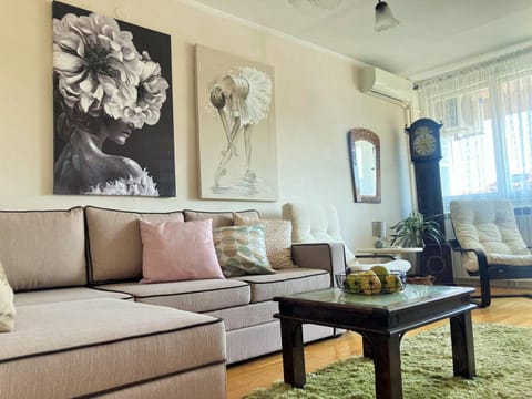 Living room, Seating area, air conditioner