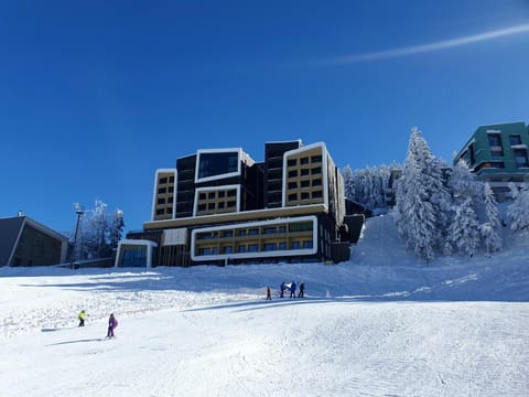 Property building, Winter, Skiing