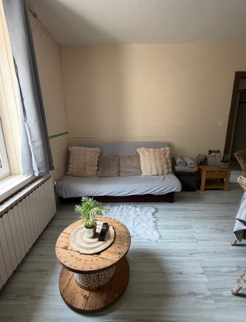 Appartement La Vanne Confortable et équipé Apartment in La Bresse