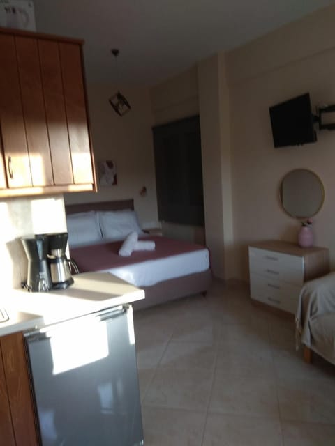 Elena Roza Apartment Apartment in Moraitika