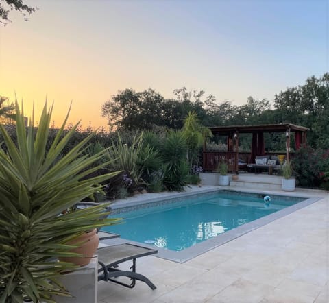 Garden, Seating area, Garden view, Swimming pool, Sunset, sunbed