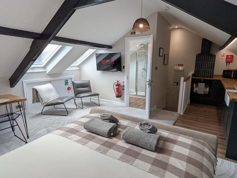 Bed, TV and multimedia, Kitchen or kitchenette, Photo of the whole room, Bedroom, towels