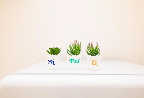 Minoa Apartment in Vieste