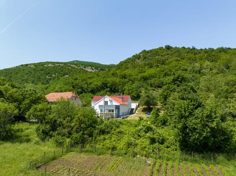 Property building, Spring, Day, Natural landscape
