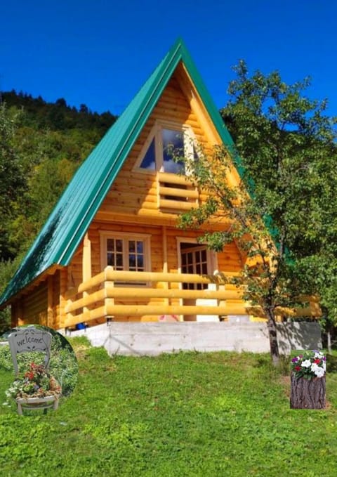 Etno house Bajka House in Zlatibor District, Serbia