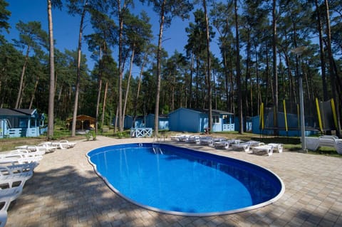 Pool view, Swimming pool, Swimming pool, sunbed