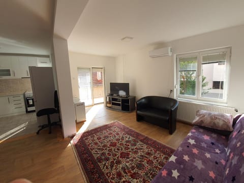 Big apartman - Free parking Apartment in Serbia