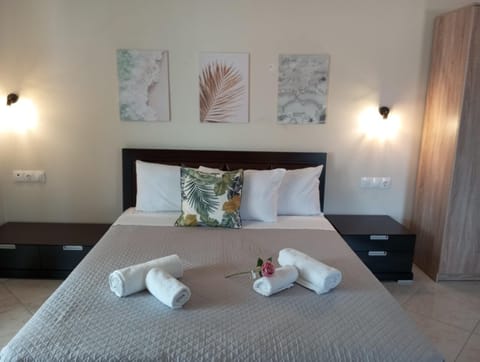 Olga Apartment Apartment in Moraitika