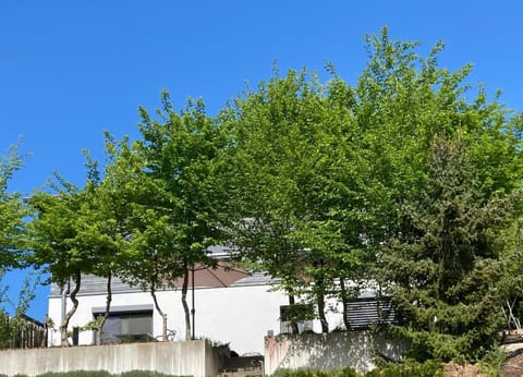 Property building, Spring, Day