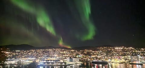 Northern lights central apartment Apartment in Nordland, Norway