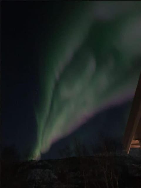 Northern lights central apartment Apartment in Nordland, Norway