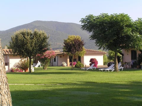 Natural landscape, Garden view, sunbed