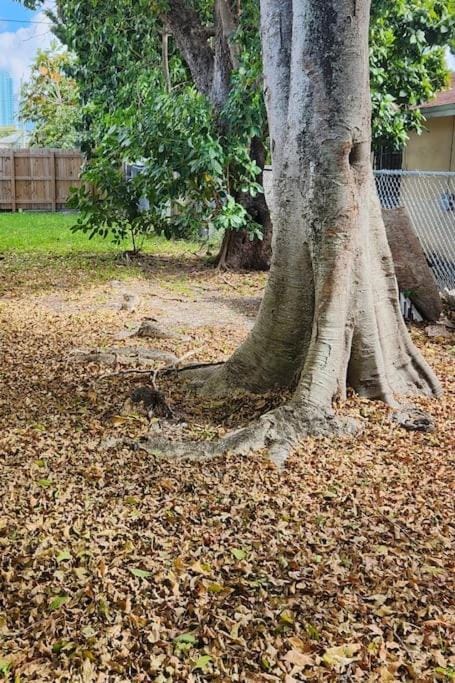 Close to Port Cruise, steps to Wynwood. Up to 8 pp House in Miami