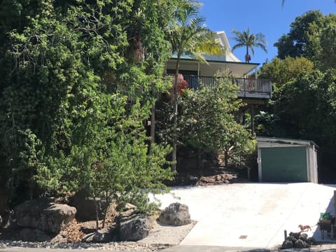 Hatea Treehouse House in Whangārei