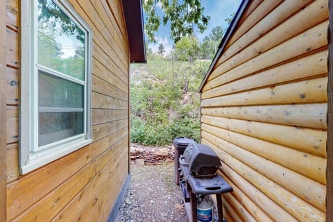 Mountain View Escape House in Lead