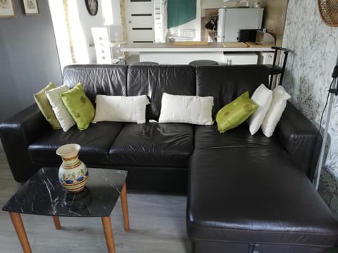 Kerguil-édouard charmante longère en pierres refaite à neuf House in Finistere