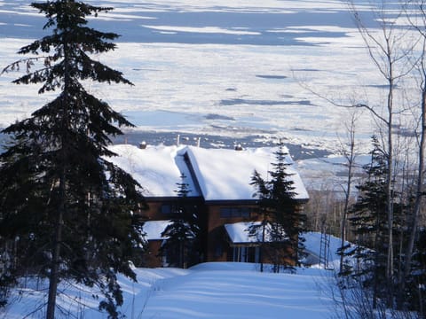 Winter, River view