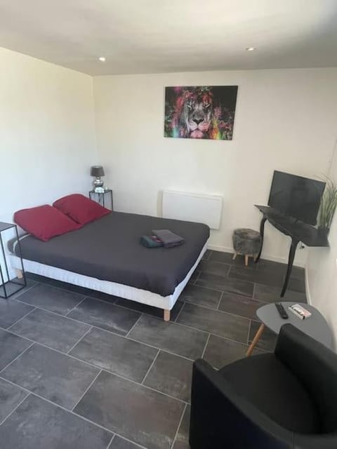 Le Leone - Wi-Fi Apartment in Bourgogne-Franche-Comté