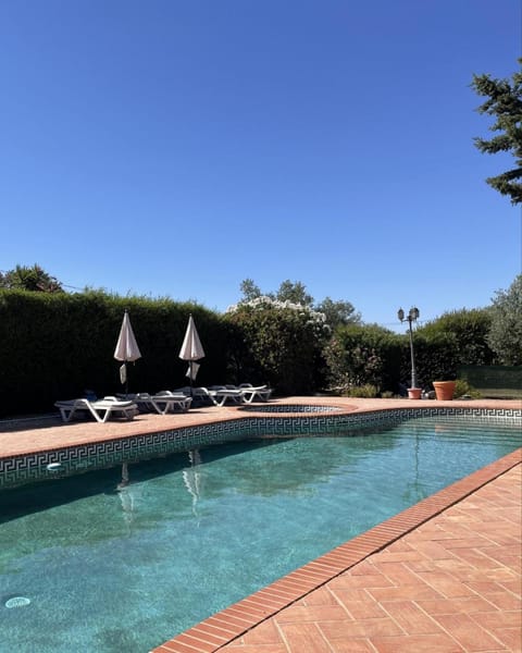 Garden, Swimming pool, sunbed