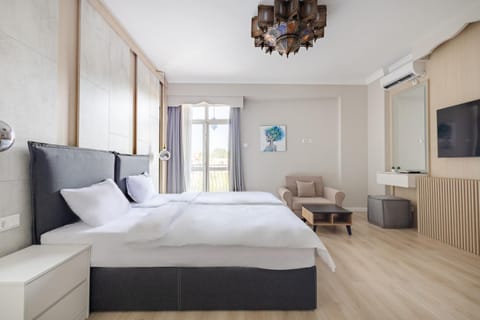 Bed, TV and multimedia, Photo of the whole room, air conditioner