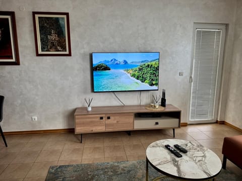 TV and multimedia