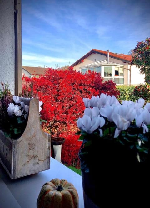 Olympia by the lake Apartment in Lausanne