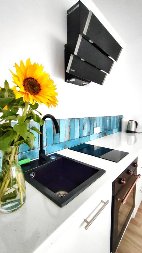 APARTAMENTY Charzykowy Apartment in Pomeranian Voivodeship