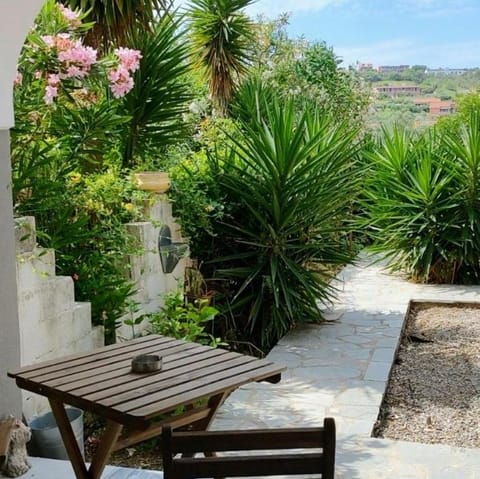 Patio, Garden, Dining area