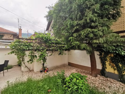 Inner courtyard view