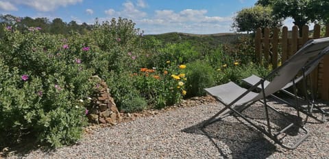 Natural landscape, Garden view, sunbed