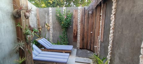 Shower, Garden, Garden view, sunbed