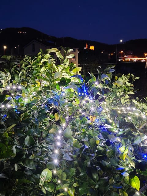 Ca' de natta House in Sestri Levante