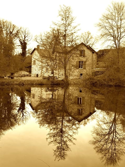 Lake view