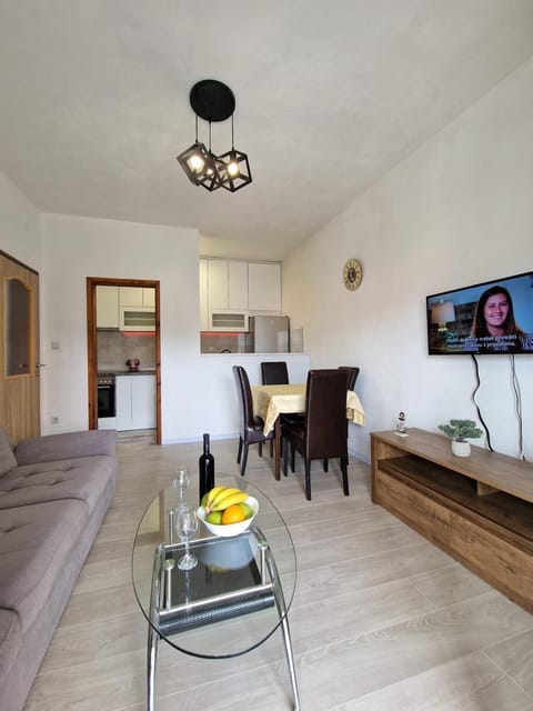 TV and multimedia, Kitchen or kitchenette, Living room, Seating area, Dining area, Food, minibar, pet friendly