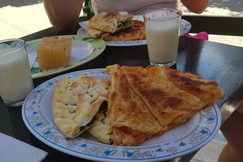 Holidayhome with 100% bio food House in North Macedonia